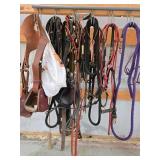 Collection of Equine Tack and Equipment