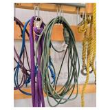 Collection of Equine Tack and Equipment