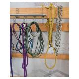 Collection of Equine Tack and Equipment