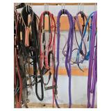 Collection of Equine Tack and Equipment