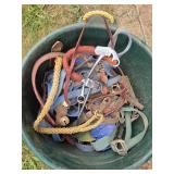 Collection of Horse Tack and Equipment