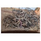 Collection of Mixed Equestrian Tack and Harness Parts