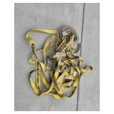 Collection of Heavy-Duty Ratchet Straps and Tie-Downs