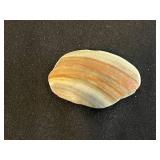 Framed Art Collection with Figurines and Seashell