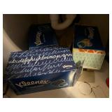 Lot of Kleenex Tissues and Fabric Care Products