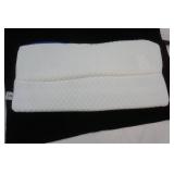 Cushion Care Memory Foam Pillow w/extra pillow case