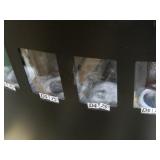 Seaga HF 3000 Vending Machine