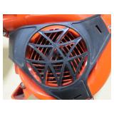 Echo PB2520 Leaf Blower