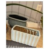 Live Indoor Plant in Ceramic Planter with Additional Pots