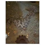 Collection of Rustic Metal Garden and Decor Pieces