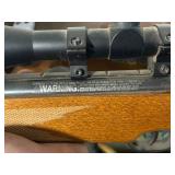 Remington Express .177 Caliber Pellet Air Rifle with Scope
