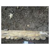 Antique Iron Wall Mounted Shelf with Ornate Design