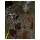 Collection of Rustic Garden Decor with Horseshoes and Stars