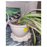 Collection of Garden Planters, Watering Cans, and Decorative Jars