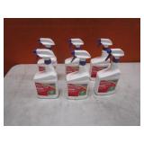 (6) Bottles of Insecticidal Soap Spray
