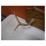Deer Antler Gun Rack/Coat Rack 9"x36"