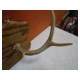 Deer Antler Gun Rack/Coat Rack 9"x36"