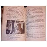 Vintage and Antique Book;  Prose and Poetry Adventures