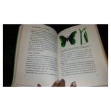 Vintage and Antique Book;   All About Moths and Butterflies (1956)
