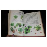 Vintage and Antique Book;   Learning Why (1951)