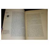 Vintage and Antique Book;   Paul Bunyon (1968)