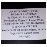 Vintage and Antique Book;  Intro to Human Anatomy (1949)