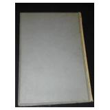 Vintage and Antique Book;   A Great Mother (1894)