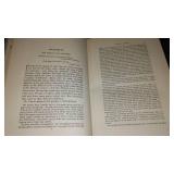 Vintage and Antique Book;   A Great Mother (1894)