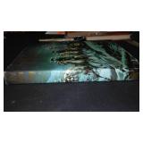 Vintage and Antique Book;   The Dream King (1977)