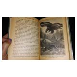 Vintage and Antique Book;   King of the Grizzles (1925)