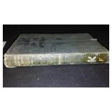 Vintage and Antique Book;   Letters from The East (1889)