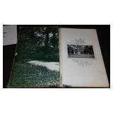 Vintage and Antique Book;   An English Forest