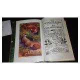 Vintage and Antique Book;   An English Forest