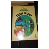 Vintage and Newer Donna Parker, Trixie Beldon, Northwoods Adventures and more. (24+)