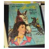 Vintage and Newer Donna Parker, Trixie Beldon, Northwoods Adventures and more. (24+)