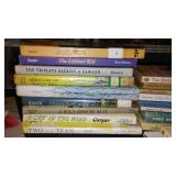 Vintage and Newer Donna Parker, Trixie Beldon, Northwoods Adventures and more. (24+)