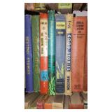 Moby Dick, Davy Crockett, Lone Ranger, Tarzan, Bobbies Twins and More. (45)