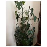 Tall Artificial Monstera Plant in Ornate Brass Planter
