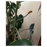 Tall Artificial Monstera Plant in Ornate Brass Planter