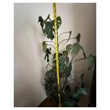 Tall Artificial Monstera Plant in Ornate Brass Planter