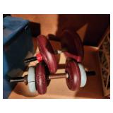 Set of Adjustable Dumbbells with Maroon and Blue Plates