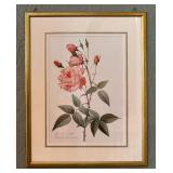 "Rosa Indica Vulgaris" and "Rosier d Amour" Prints by Pierre-Joseph Redoute