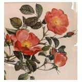 "Rosa Indica Vulgaris" and "Rosier d Amour" Prints by Pierre-Joseph Redoute