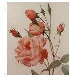 "Rosa Indica Vulgaris" and "Rosier d Amour" Prints by Pierre-Joseph Redoute