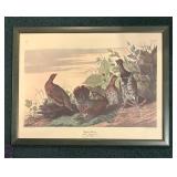 "Purple Heron", "Shoveller Duck" and "Spruce Grouse" Prints by John James Audubon