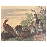 "Purple Heron", "Shoveller Duck" and "Spruce Grouse" Prints by John James Audubon
