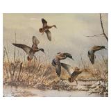 Wildlife Waterfowl Limited Edition Artist Proof by James Killen