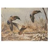 Wildlife Waterfowl Limited Edition Artist Proof by James Killen