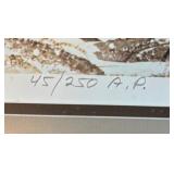 Wildlife Waterfowl Limited Edition Artist Proof by James Killen