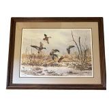 Wildlife Waterfowl Limited Edition Artist Proof by James Killen
